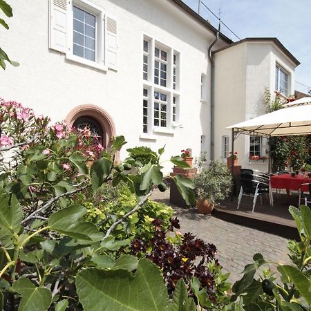 Bio-Weingut, Gaestehaus Und Kraeuterhof Flomborn Kültér fotó