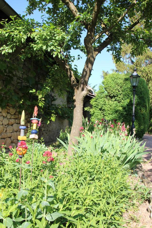 Bio-Weingut, Gaestehaus Und Kraeuterhof Flomborn Kültér fotó