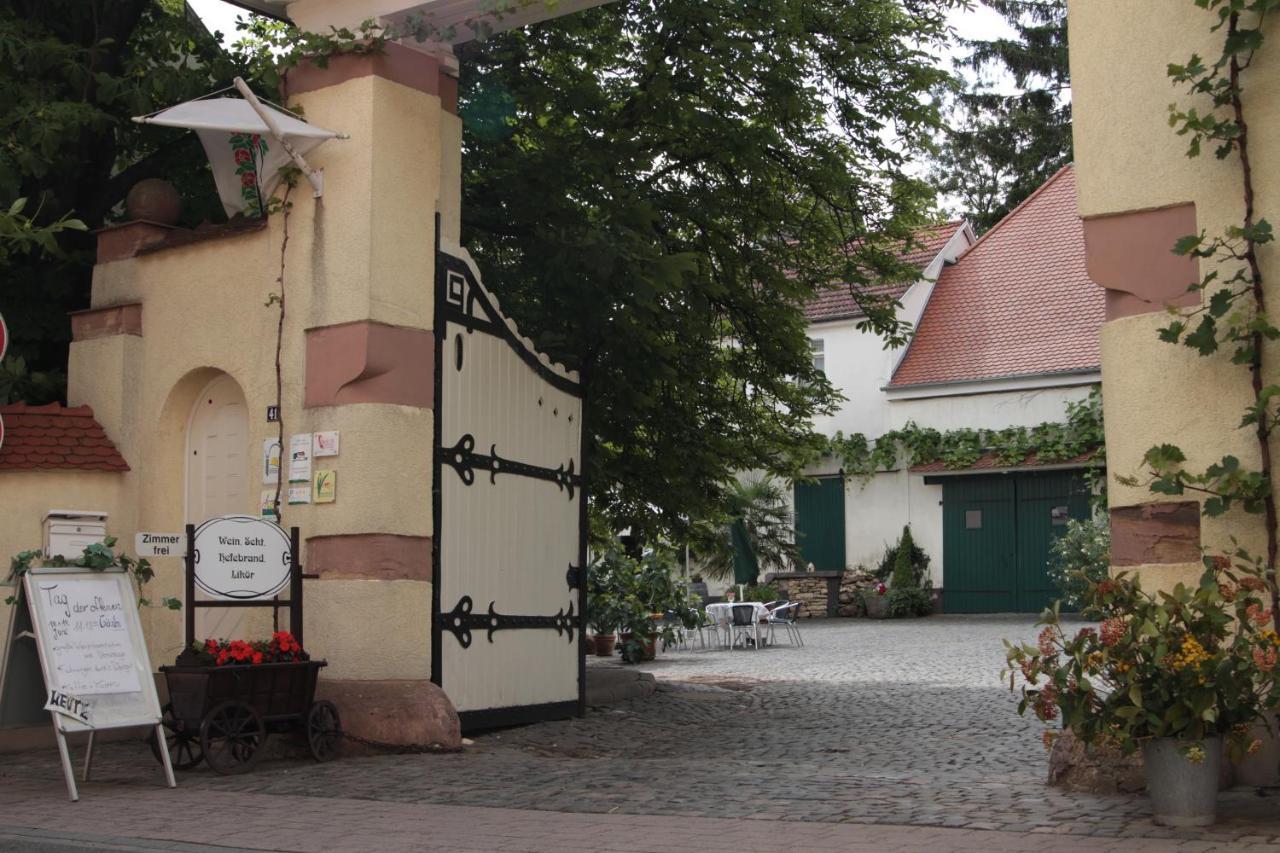 Bio-Weingut, Gaestehaus Und Kraeuterhof Flomborn Kültér fotó