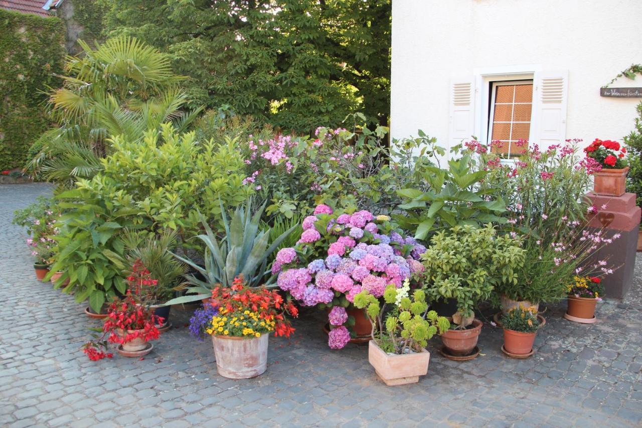 Bio-Weingut, Gaestehaus Und Kraeuterhof Flomborn Kültér fotó