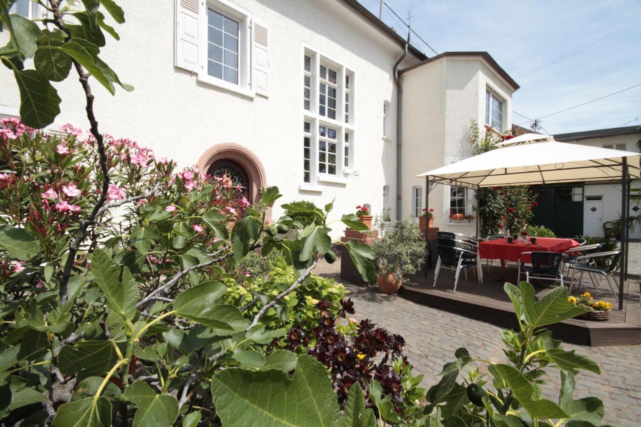 Bio-Weingut, Gaestehaus Und Kraeuterhof Flomborn Kültér fotó