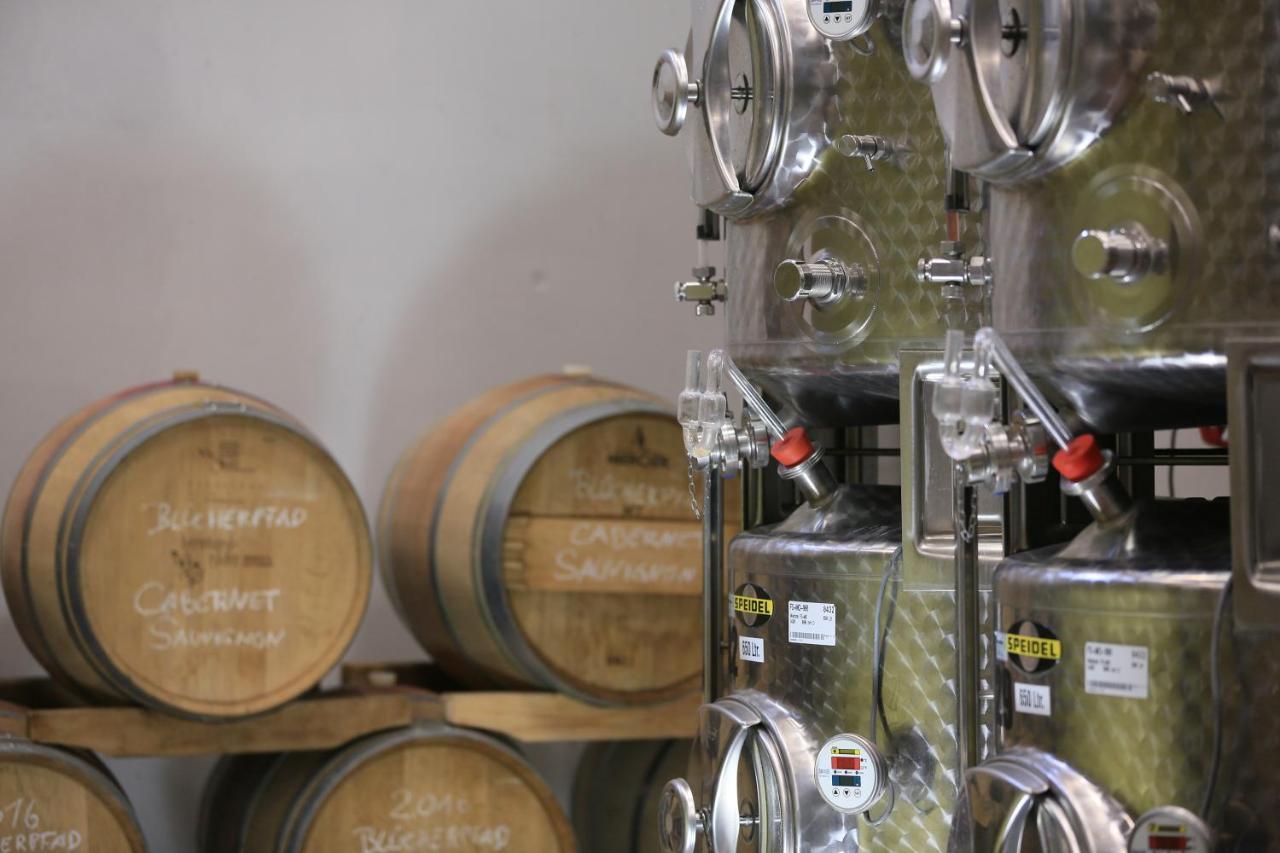 Bio-Weingut, Gaestehaus Und Kraeuterhof Flomborn Kültér fotó